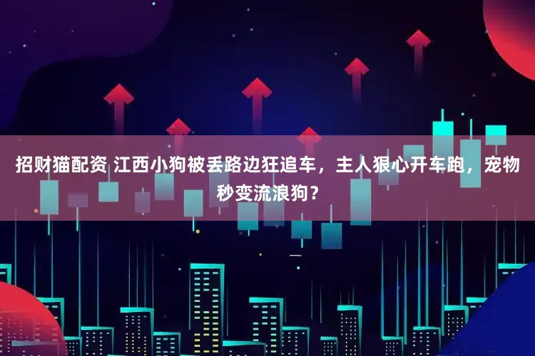 招财猫配资 江西小狗被丢路边狂追车，主人狠心开车跑，宠物秒变流浪狗？