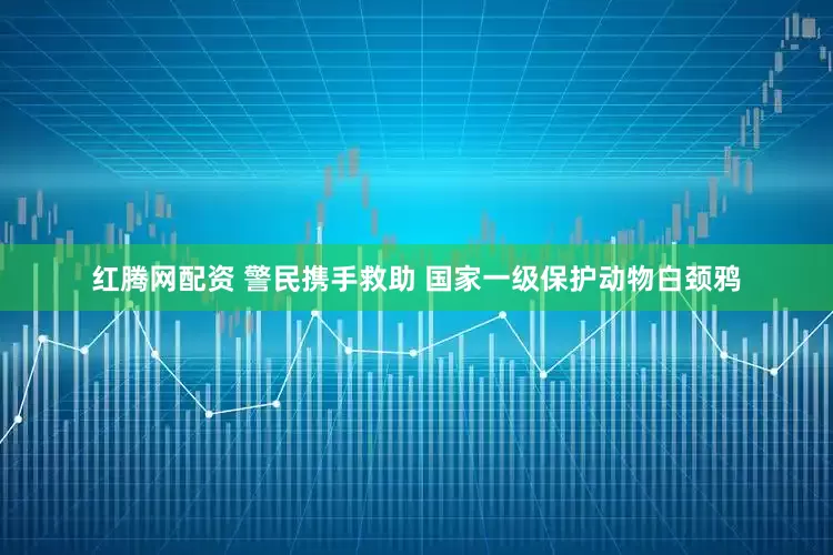 红腾网配资 警民携手救助 国家一级保护动物白颈鸦