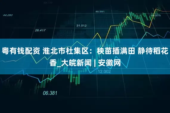 粤有钱配资 淮北市杜集区：秧苗插满田 静待稻花香_大皖新闻 | 安徽网