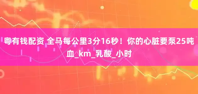粤有钱配资 全马每公里3分16秒!你的心脏要泵25吨血_km_乳酸_小时