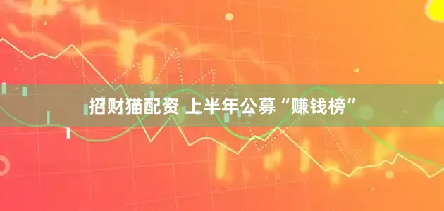 招财猫配资 上半年公募“赚钱榜”