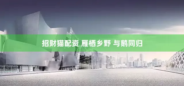 招财猫配资 雁栖乡野 与鹅同归