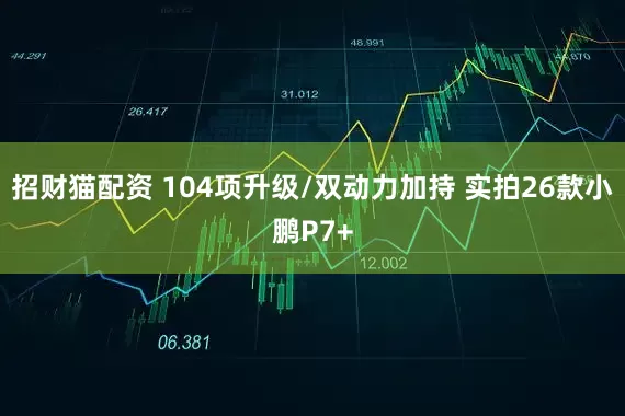 招财猫配资 104项升级/双动力加持 实拍26款小鹏P7+